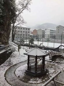 雪后校园惊艳亮相 有你的学校吗