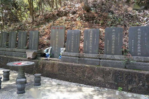 红动磐安 磐安百年党史┃用生命唤醒劳苦大众 方前地区党组织革命历程追寻